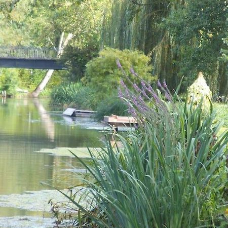 Gite Gaia, Calme Dans Marais Poitevin Villa Maille  Bagian luar foto