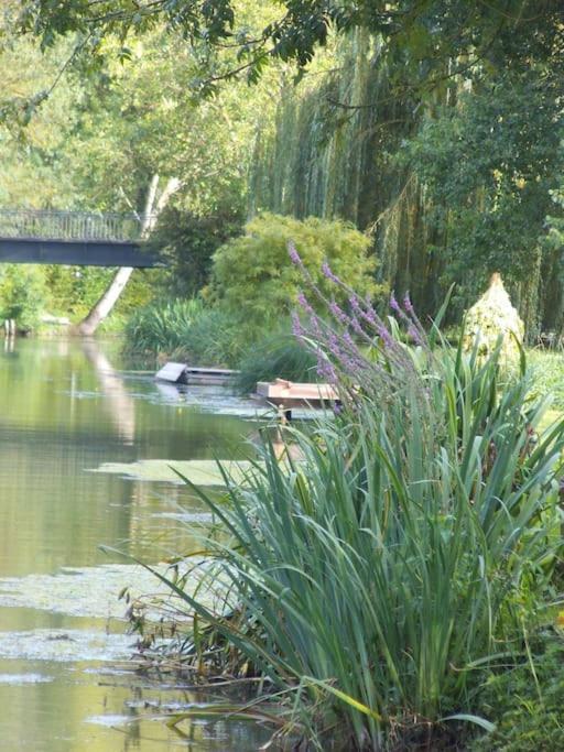 Gite Gaia, Calme Dans Marais Poitevin Villa Maille  Bagian luar foto